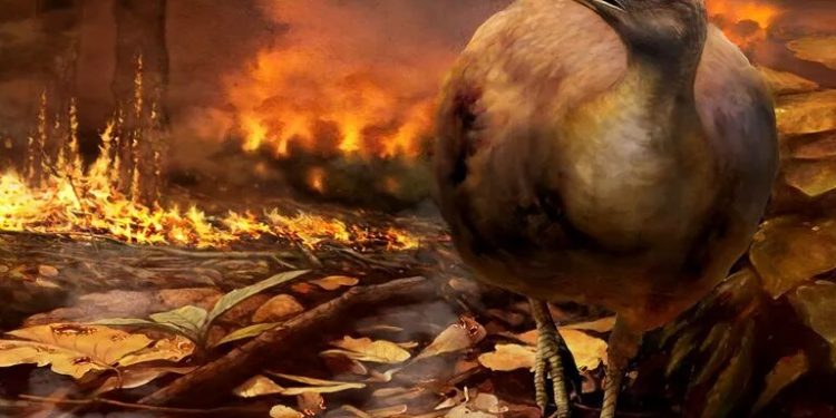 Quşlar dinozavrların dağıdıcı toqquşmasından necə sağ qaldılar?