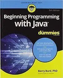 Beginning Programming with Java For Dummies Kitabı