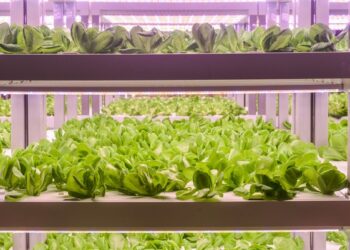 Texnologiyanın kənd təsərrüfatına təsiri nədir