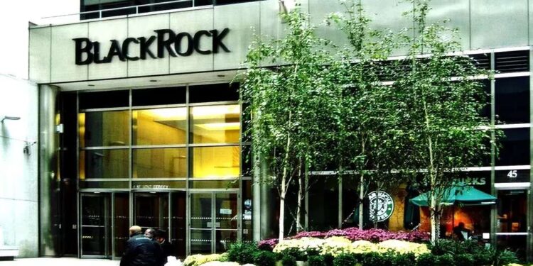 BlackRock Bitcoin ETF 1,3 milyard dollar həcmində rekord
