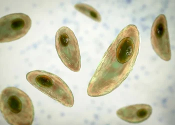 Zehni İdarə edən Parazit Toxoplasma gondii Patogendən Beyinə Dərman Çatdırılma Sisteminə