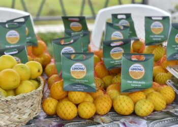 Lənkəran və Lerikdə Aqrar Biznes Festivalları keçirilib