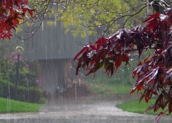 Bəzi yerlərə leysan yağır – FAKTİKİ HAVA – YENİLƏNİB