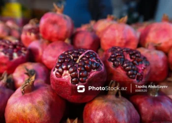 İmmuniteti gücləndirmək və viruslu xəstəliklərin qarşısını almaq üçün ən yaxşı meyvələr hansılardır?