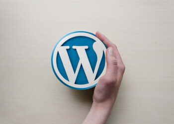 WordPress-də Münaqişə, Gələcək Taleyi Necə Olacaq