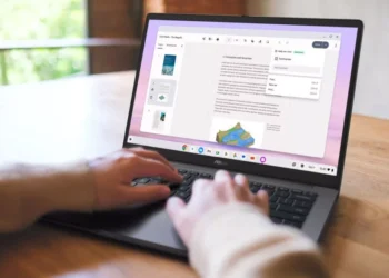 İntel Twin Lake prosessorlu Asus CX14 və CX15 Chromebook