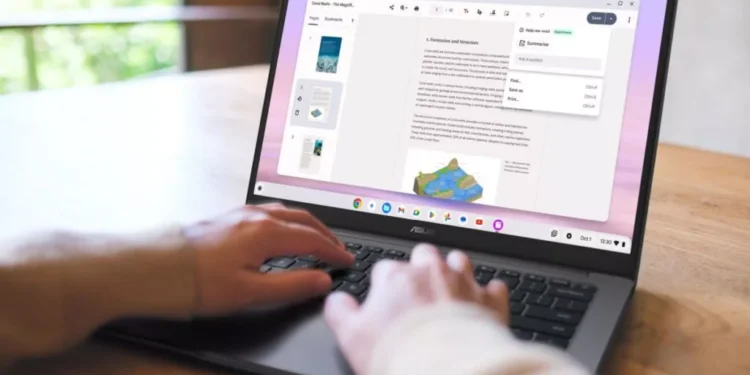 İntel Twin Lake prosessorlu Asus CX14 və CX15 Chromebook