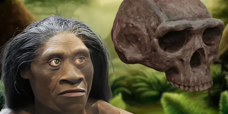 Homo floresiensis yox olması “Hobbit”lər necə məhv oldu